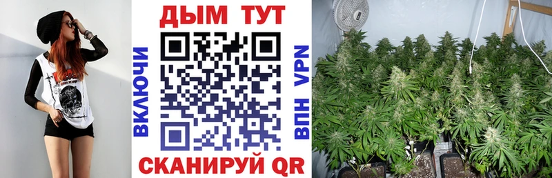 Бошки марихуана White Widow Ливны